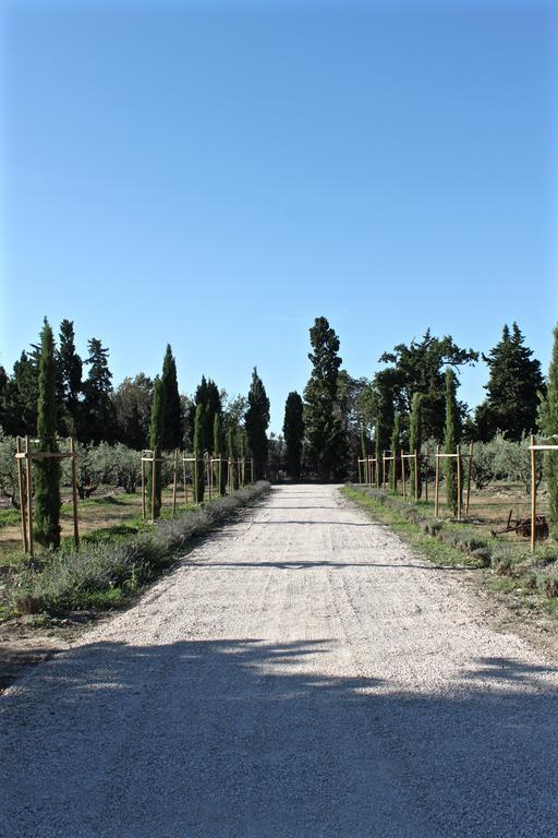 Domaine De Fontbelle Bed & Breakfast Graveson Exterior photo